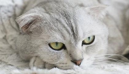 开云kaiyun-队员变化！球队后卫领袖回归训练场，士气大增，后卫的球员