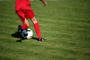 开云app客服-中国篮球职业联赛俱乐部青训体系建设与实践探索，篮球青年训练营