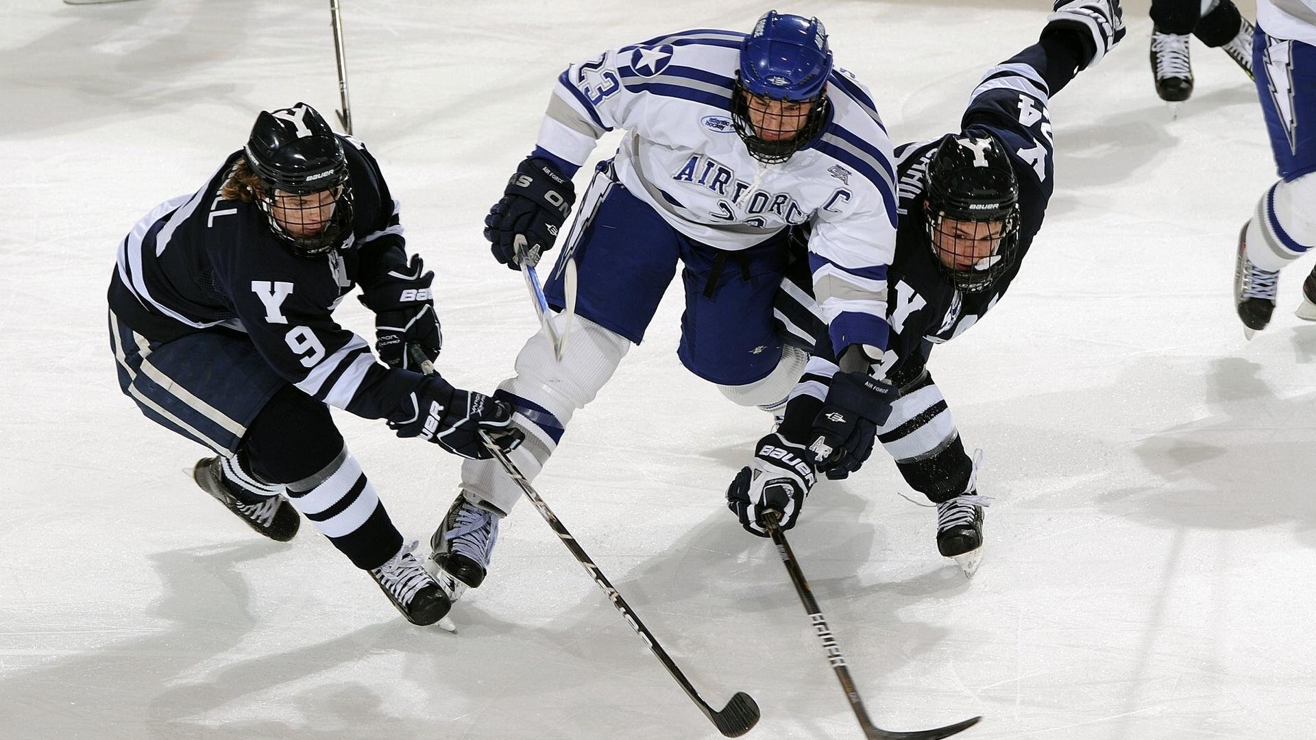 球迷盛典:现场氛围与体育精神的融合,球迷知识